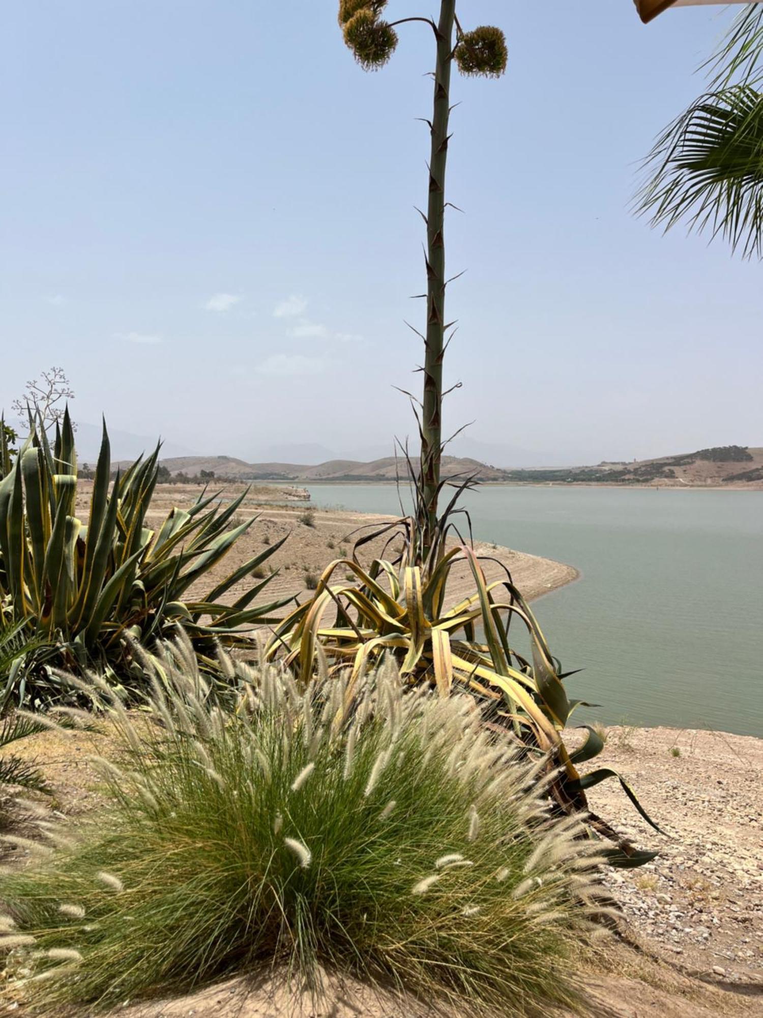 Le Patio Du Lac Lalla Takerkoust Ngoại thất bức ảnh