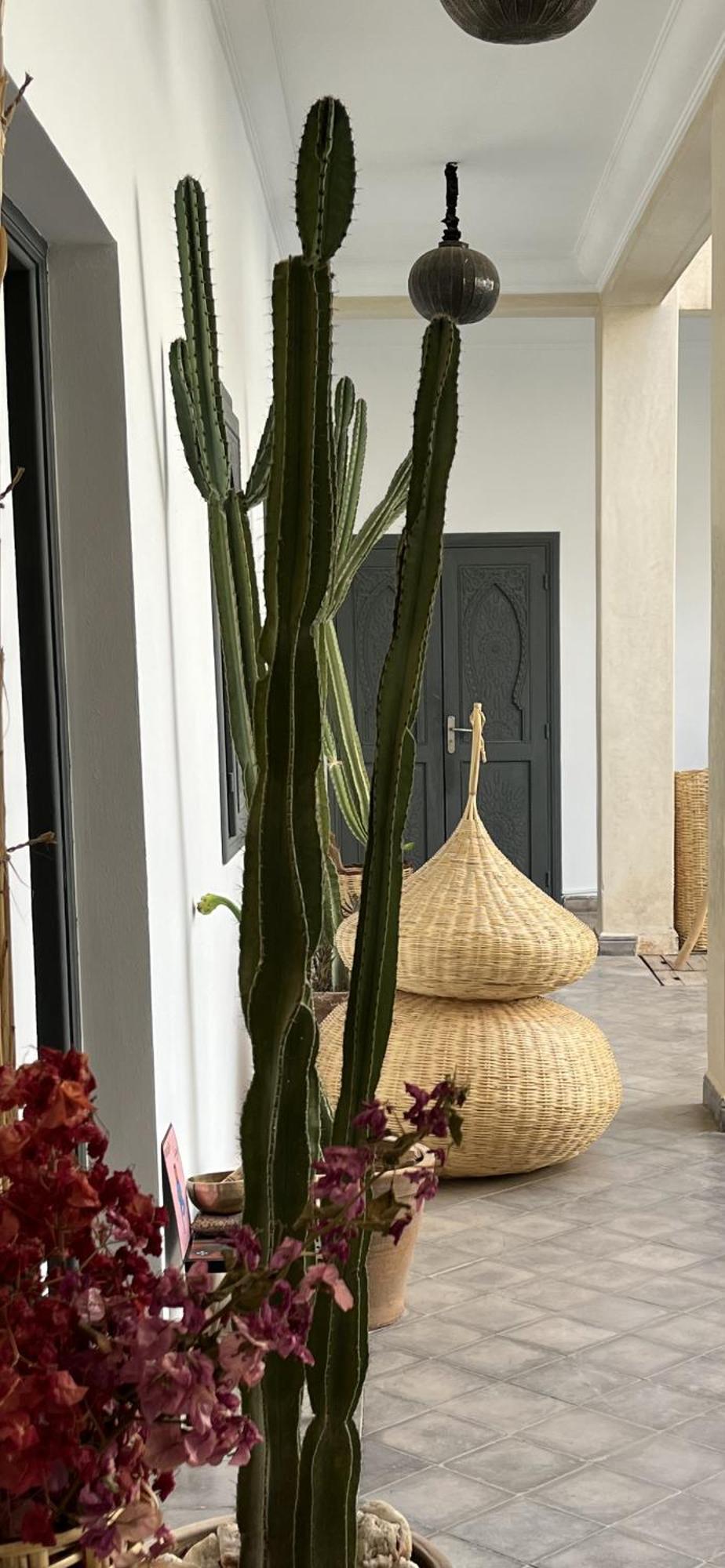 Le Patio Du Lac Lalla Takerkoust Ngoại thất bức ảnh